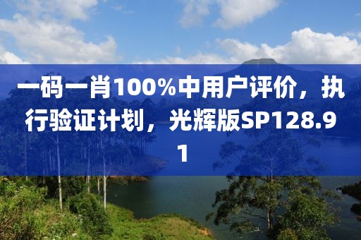 一码一肖100%中用户评价，执行验证计划，光辉版SP128.91