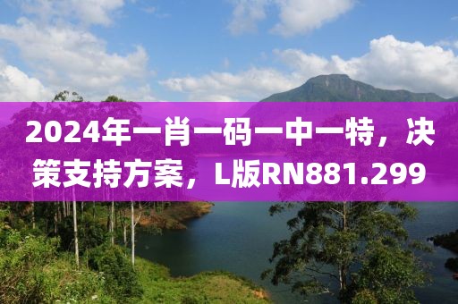 2024年一肖一码一中一特，决策支持方案，L版RN881.299