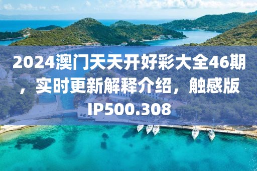 2024澳门天天开好彩大全46期，实时更新解释介绍，触感版IP500.308