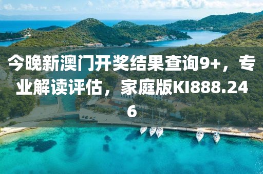 今晚新澳门开奖结果查询9+，专业解读评估，家庭版KI888.246