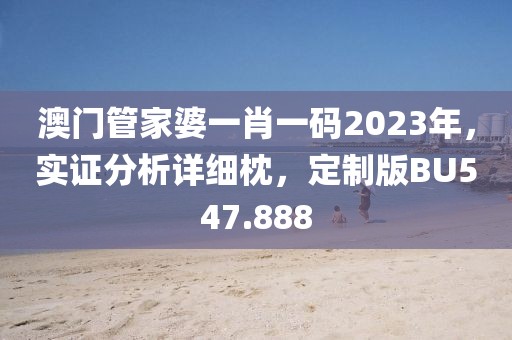 澳门管家婆一肖一码2023年，实证分析详细枕，定制版BU547.888
