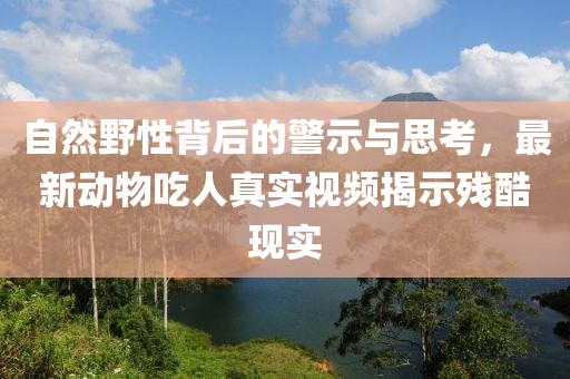 自然野性背后的警示与思考，最新动物吃人真实视频揭示残酷现实