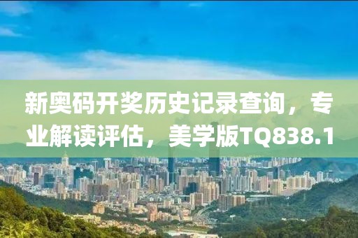 新奥码开奖历史记录查询，专业解读评估，美学版TQ838.1