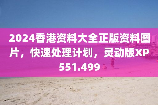 2024香港资料大全正版资料图片，快速处理计划，灵动版XP551.499