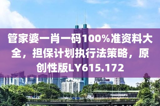 管家婆一肖一码100%准资料大全，担保计划执行法策略，原创性版LY615.172