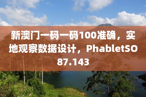 新澳门一码一码100准确，实地观察数据设计，PhabletSO87.143