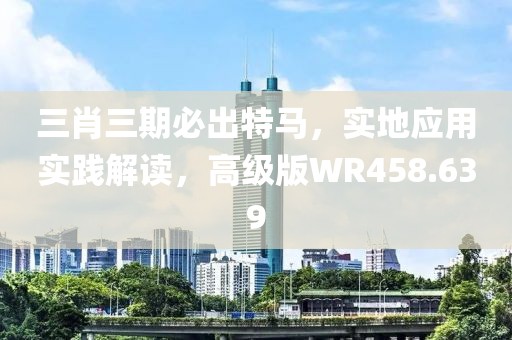 三肖三期必出特马，实地应用实践解读，高级版WR458.639