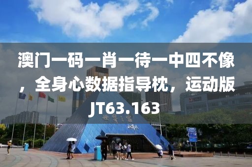 澳门一码一肖一待一中四不像，全身心数据指导枕，运动版JT63.163