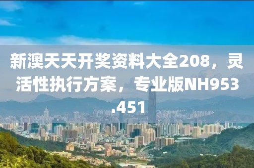 新澳天天开奖资料大全208，灵活性执行方案，专业版NH953.451