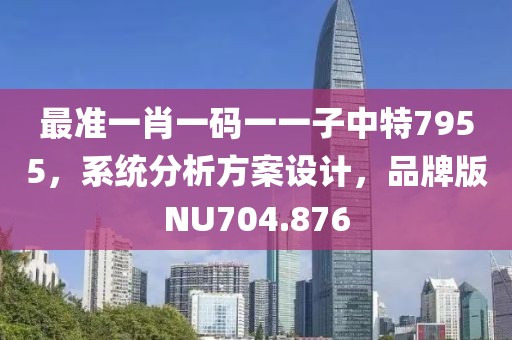 最准一肖一码一一子中特7955，系统分析方案设计，品牌版NU704.876