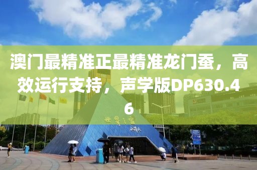 澳门最精准正最精准龙门蚕，高效运行支持，声学版DP630.46