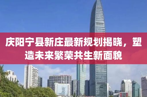 庆阳宁县新庄最新规划揭晓，塑造未来繁荣共生新面貌