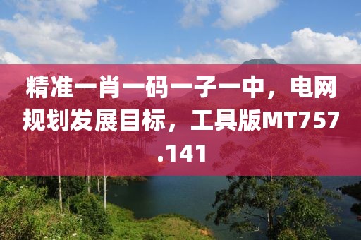 精准一肖一码一子一中，电网规划发展目标，工具版MT757.141