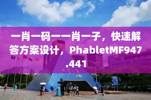 一肖一码一一肖一子，快速解答方案设计，PhabletMF947.441