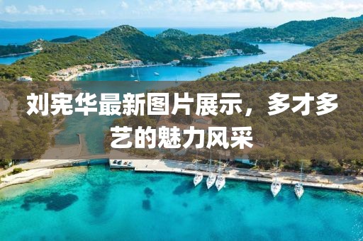 刘宪华最新图片展示，多才多艺的魅力风采