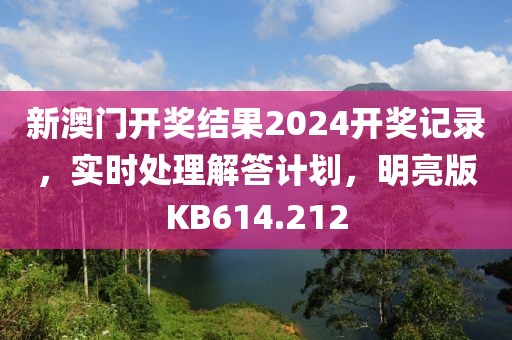 新澳门开奖结果2024开奖记录，实时处理解答计划，明亮版KB614.212