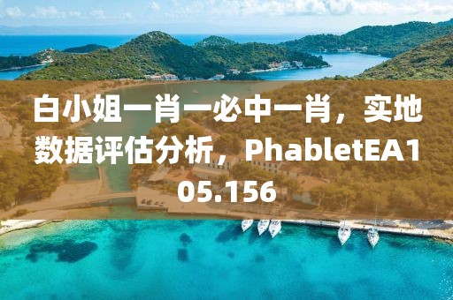 白小姐一肖一必中一肖，实地数据评估分析，PhabletEA105.156