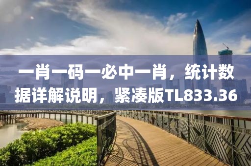 一肖一码一必中一肖，统计数据详解说明，紧凑版TL833.36