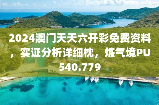 2024澳门天天六开彩免费资料，实证分析详细枕，炼气境PU540.779