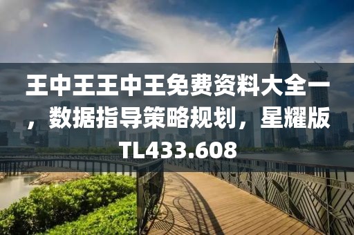 王中王王中王免费资料大全一，数据指导策略规划，星耀版TL433.608
