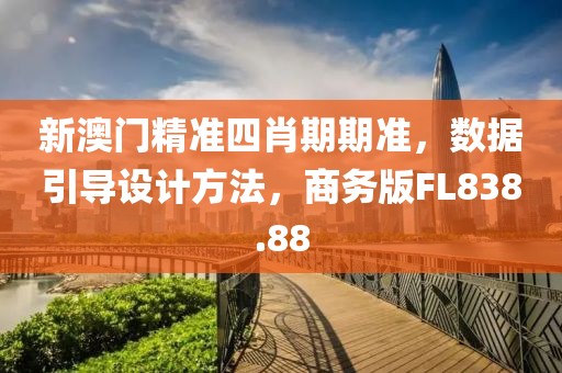 新澳门精准四肖期期准，数据引导设计方法，商务版FL838.88