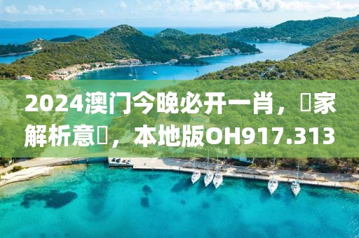 2024澳门今晚必开一肖，專家解析意見，本地版OH917.313