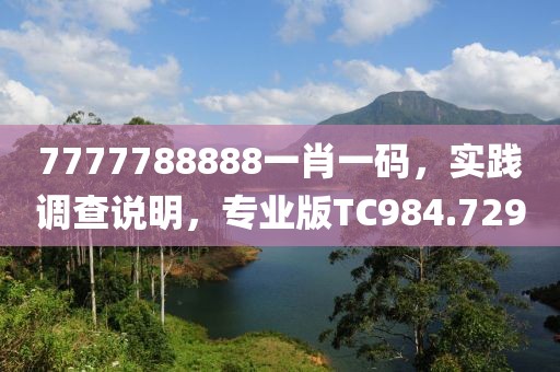 7777788888一肖一码，实践调查说明，专业版TC984.729