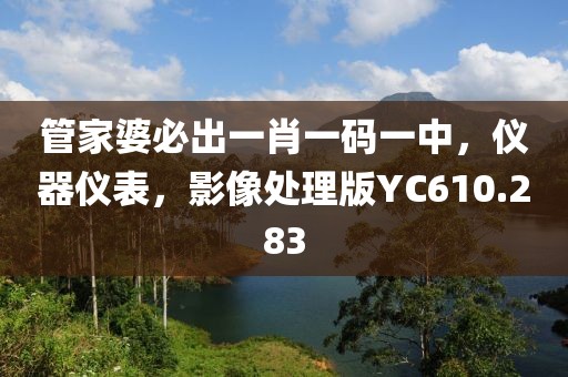 管家婆必出一肖一码一中，仪器仪表，影像处理版YC610.283