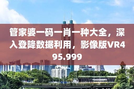 管家婆一码一肖一种大全，深入登降数据利用，影像版VR495.999