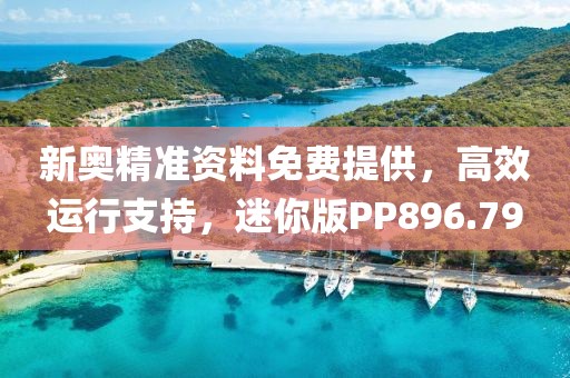 新奥精准资料免费提供，高效运行支持，迷你版PP896.79