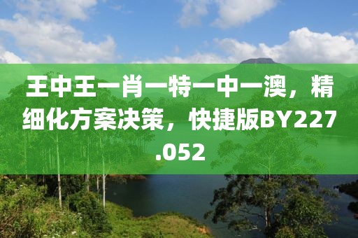 王中王一肖一特一中一澳，精细化方案决策，快捷版BY227.052