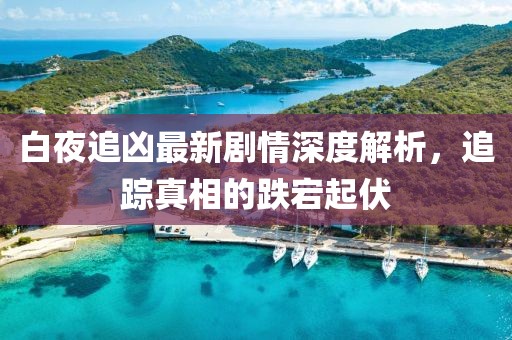 白夜追凶最新剧情深度解析，追踪真相的跌宕起伏