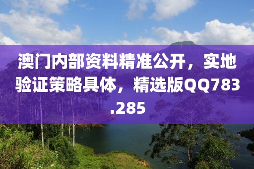 澳门内部资料精准公开，实地验证策略具体，精选版QQ783.285