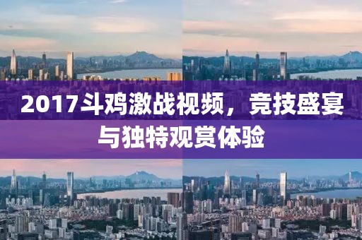 2017斗鸡激战视频，竞技盛宴与独特观赏体验