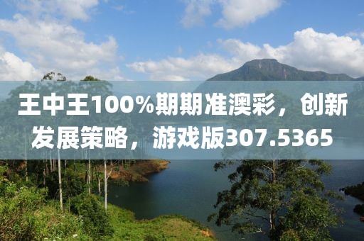 王中王100%期期准澳彩，创新发展策略，游戏版307.5365
