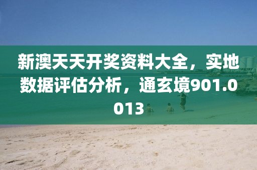 新澳天天开奖资料大全，实地数据评估分析，通玄境901.0013