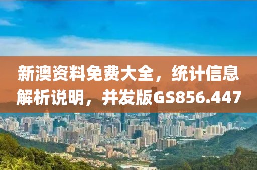新澳资料免费大全，统计信息解析说明，并发版GS856.447
