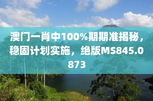 澳门一肖中100%期期准揭秘，稳固计划实施，绝版MS845.0873