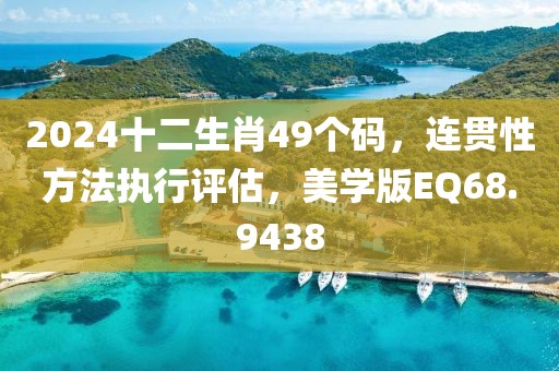 2024十二生肖49个码，连贯性方法执行评估，美学版EQ68.9438