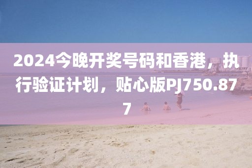 2024今晚开奖号码和香港，执行验证计划，贴心版PJ750.877