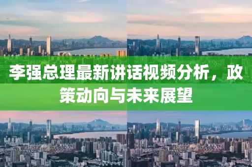 李强总理最新讲话视频分析，政策动向与未来展望