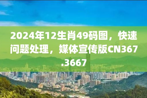 2024年12生肖49码图，快速问题处理，媒体宣传版CN367.3667