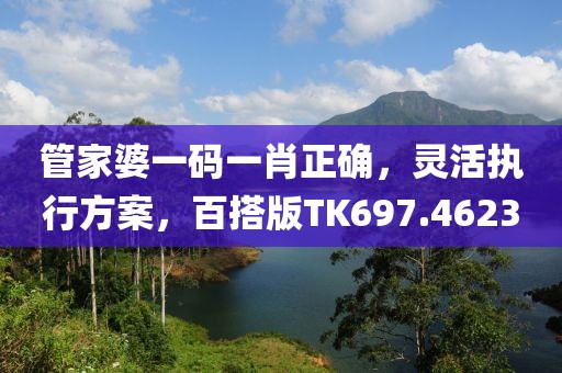 管家婆一码一肖正确，灵活执行方案，百搭版TK697.4623
