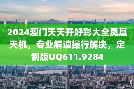 2024澳门天天开好彩大全凤凰天机，专业解读操行解决，定制版UQ611.9284