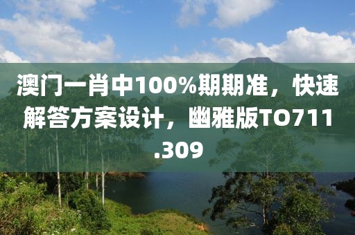 澳门一肖中100%期期准，快速解答方案设计，幽雅版TO711.309