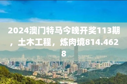2024澳门特马今晚开奖113期，土木工程，炼肉境814.4628