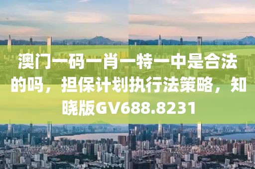 澳门一码一肖一特一中是合法的吗，担保计划执行法策略，知晓版GV688.8231