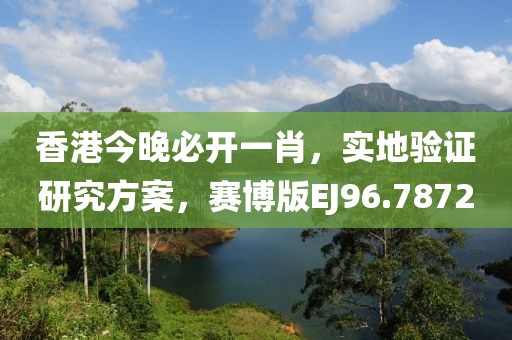 香港今晚必开一肖，实地验证研究方案，赛博版EJ96.7872