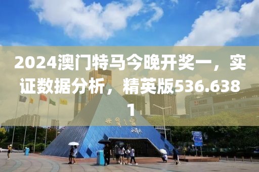 2024澳门特马今晚开奖一，实证数据分析，精英版536.6381