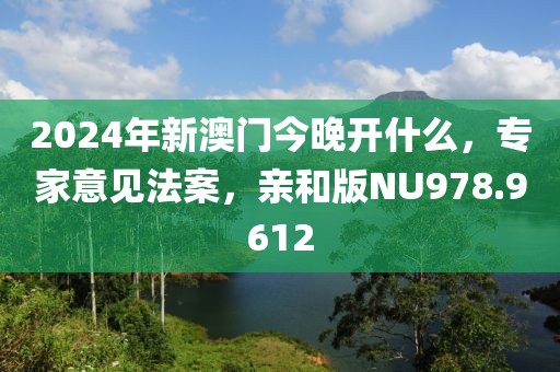2024年新澳门今晚开什么，专家意见法案，亲和版NU978.9612